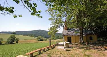 Goldsteig - Südvariante - Etappe 8: Von der Verzweigung Kulzer Moos nach Neunburg vorm Wald