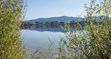 Salzburger Seenland
