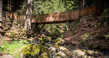 Sigmund-Freud-Promenade zwischen Klobenstein und Oberbozen