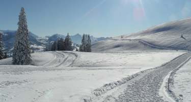 Wunderschöne Winterlandschaft der Site Alp