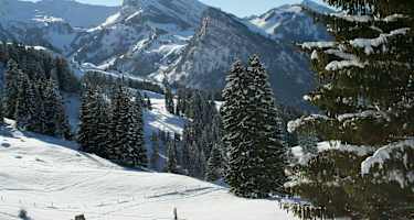Winterwanderung Springenboden-Diemtigtal