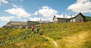 Bei der Alpe Salèi lohnt eine Einkehr