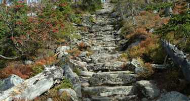 Goldsteig - Nordvariante - Etappe 17: Vom Rachel auf den Lusen