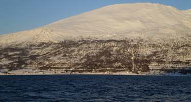 Storhaugen - mit eingezeichneter Route
