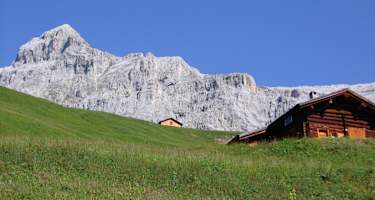 Die Südwand der Sulzfluh in der Morgensonne