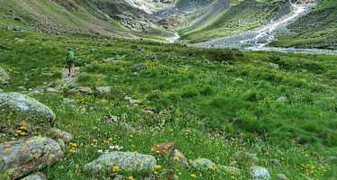 Der grüne Talboden des Taschachtales