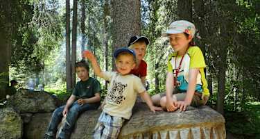 Tolles Holzkrokodil am Erlebnisweg Grimmimutz