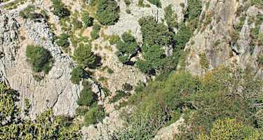 Die Tunnelroute (Variante) durchsticht einen felsigen Bergrücken der Tramuntana (auf dem Bild links).