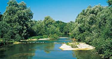 Der natürliche Flusslauf der Saulx