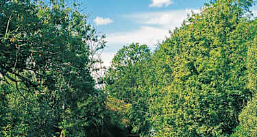 Die stillen Wasser des Rognon.