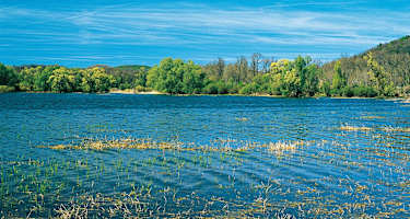 : Ein Paradies für Wasservögel: der Réservoir de la Vingeanne.