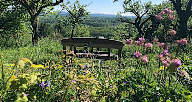 Blick auf den Albtrauf