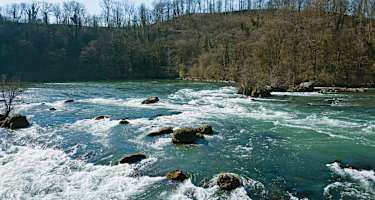 Der Rhein kurz vor dem Fall.