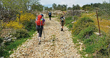 Im Aufstieg durch Obst- und Olivenplantagen.