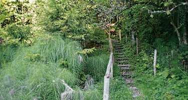 Feuchter Hangbereich mit Schachtelhalm unterhalb St. Georg.