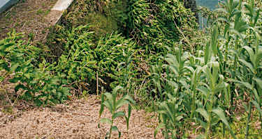 Exponierter Wanderweg.