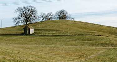 Drumlin Hohenberger Hügel.