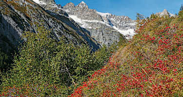 Beim Aufstieg nach Eril putzt sich die Bietschhorngruppe immer prächtiger heraus.