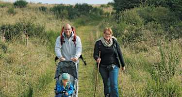 Herrliche Wiesenwege auf der Dreiborner Hochfläche.