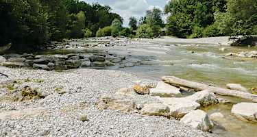 Neue Fischaufstiegshilfe am Flaucher.