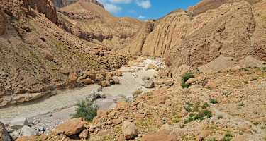 Einsamkeit nicht weit von Masada!