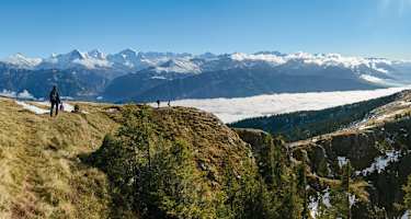 Aussicht nonstop zwischen Gemmenalphorn und Niederhorn.