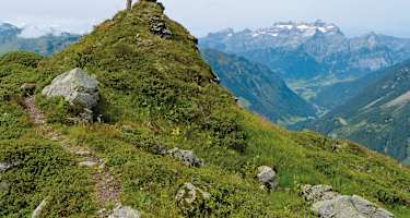 Das Sunnenhörnli ragt als kleiner Hügel aus dem Grat. Hinten rechts das Glärnisch-Massiv.