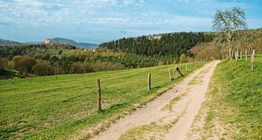 Die Burgruine Fleckenstein grüßt schon von Weitem.