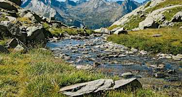 Blick zum Piz d’Arbeola vom Anstieg zum Passo de Balniscio.