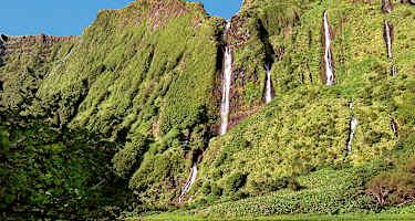 Am Poço das Patas (Variante).