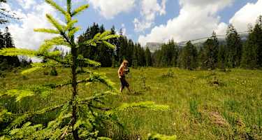 Moorlandschaft Habkern