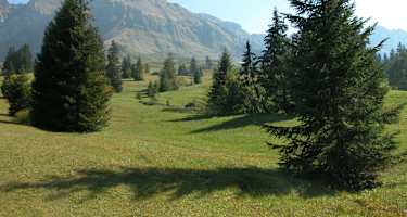 Moorlandschaftspfad Kleine Entle