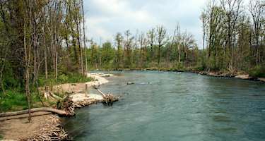 Mystische Stimmung am Ufer der Aare