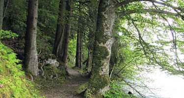 Unterwegs am Uferweg Brienzerse