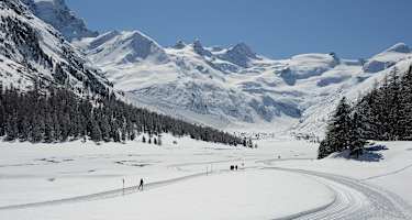 Winterwonderland im Val Roseg