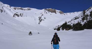 Typische Plessuralpen, hier in Anstieg durch das Bärental von Davos aus