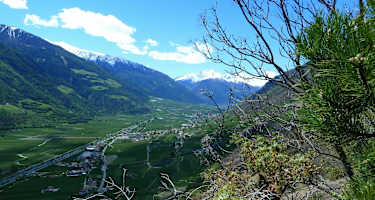 Blik in den Vinschgau