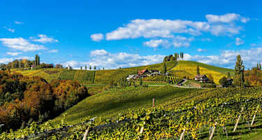 Wunderschöne Weinberge - Südsteirische Weinstraße