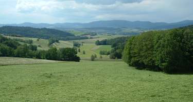 Goldsteig - Nordvariante - Etappe 11: Von Furth im Wald nach Schönbuchen