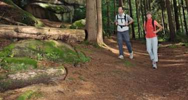 Goldsteig - Nordvariante - Etappe 3: Von Falkenberg nach Neuhaus