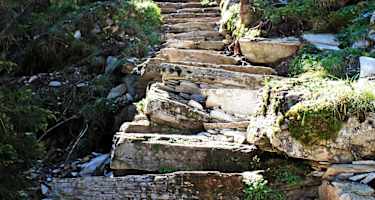 Steintreppe im Furggawald (Avers)