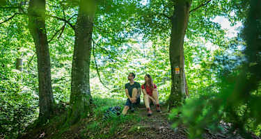 Auf der Zeugenbergrunde wandert man teilweise durch die wunderschönen schattigen Wälder rund um Neumarkt i.d. Oberpfalz.