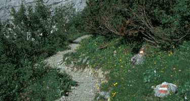 Von der Falkenhütte in die Eng