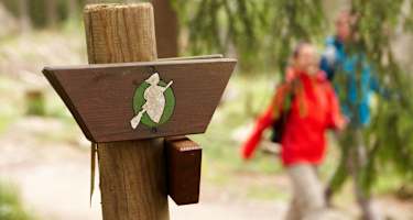 Wegeschild des Harzer-Hexen-Stieges.