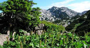 Kurz nach dem Albert-Appel-Haus