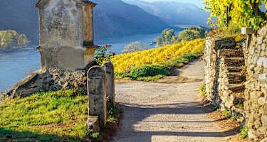 Am südlichen Ortsrand von Weißenkirchen mit Blick das Donautal aufwärts.