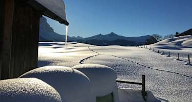 Schneeschuhwandern am Wetterhorn Trail