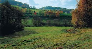 Goldsteig - Nordvariante - Etappe 4: Von Neuhaus nach Letzau