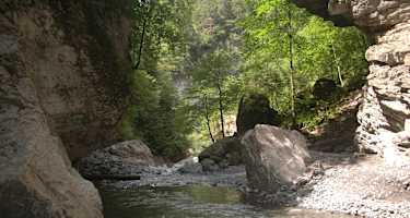 Der Frödisch-Wildbach