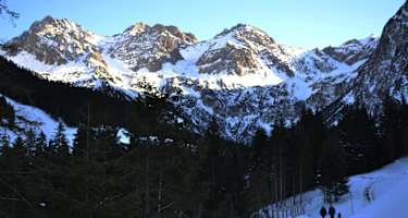 Wildental Blick auf die Dreischafalpköpfe